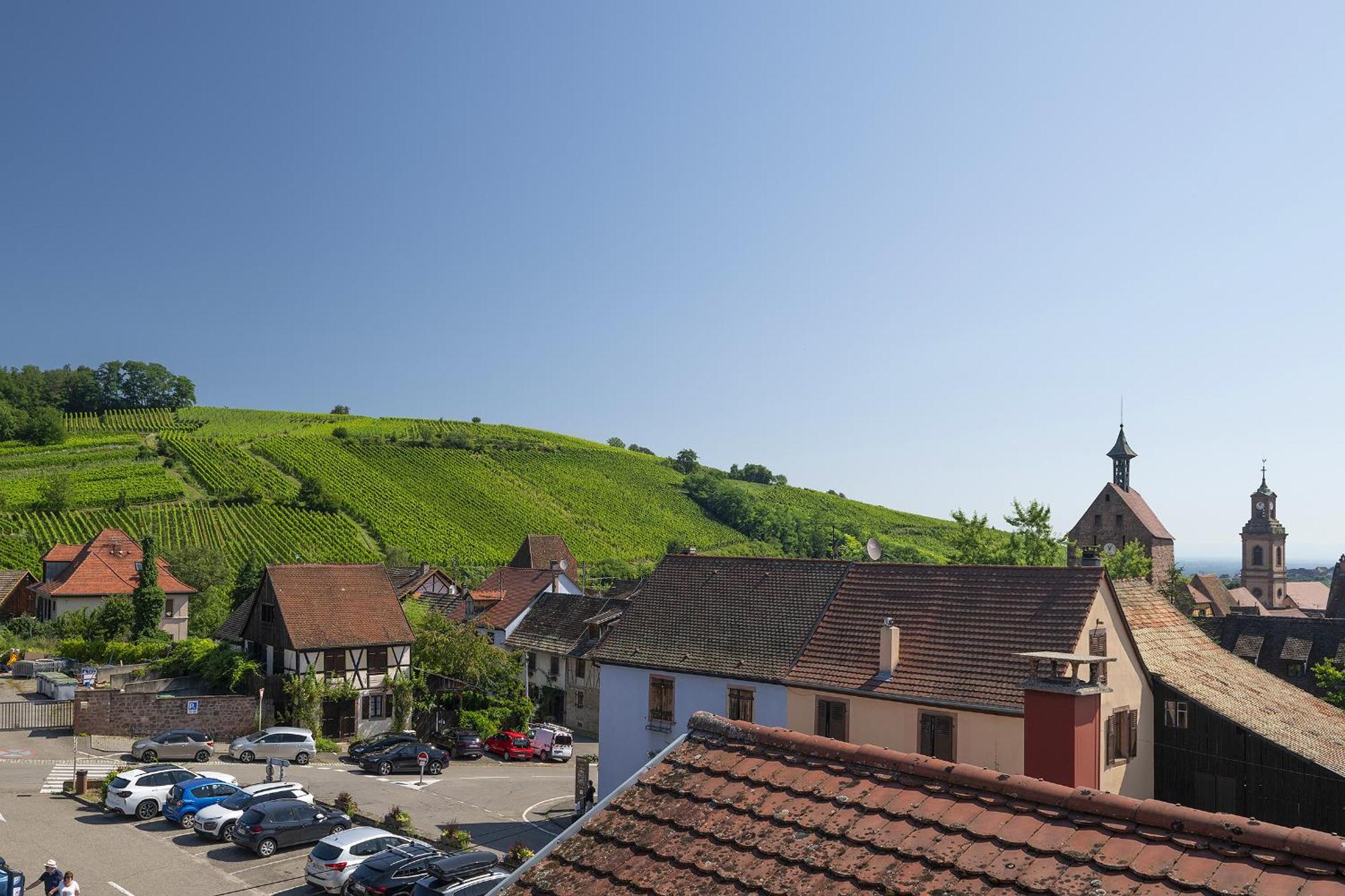 דירות ריקוויר Riesling - Vue Imprenable Sur Le Vignoble - Renove Recemment - Parking Gratuit מראה חיצוני תמונה